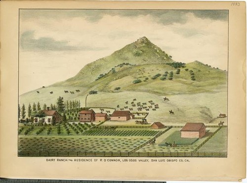 O'Connor, P., Dairy Ranch and Residence, Los Osos Valley, San Luis Obispo County