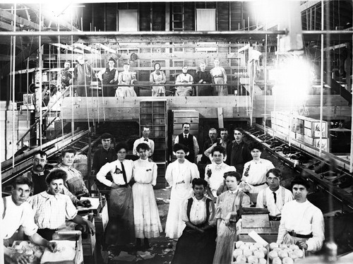 Upland Photograph Agriculture--Citrus; Citrus workers posing in packing house / Edna Swan