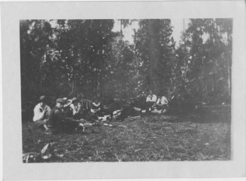 Group photo of picnic