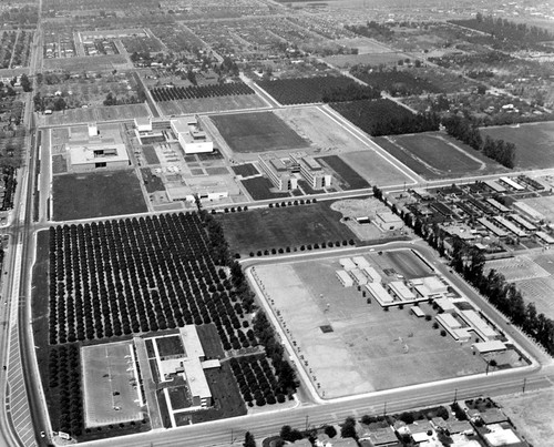 Campus of San Fernando Valley State College (now CSUN), Aerial View, May 1961