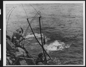 Commercial tuna fishermen fishing off the edge of a boat, ca.1920