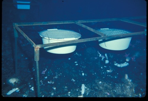 Exclusion buckets used in John Oliver's experiment during Paul Dayton's study of the McMurdo Station benthic community. Antarctica. 1974