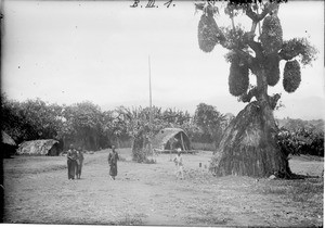 Rural homestead, Tanzania, ca.1893-1920