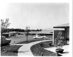 Wikiup Greens, Santa Rosa, California, 1963
