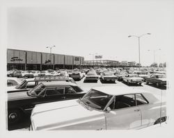 Parking lot at Coddingtown Shopping Center, Santa Rosa, California, 1967