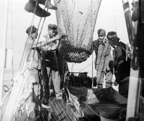 Seamen and researchers with trawl dredge on the deck of the research vessel Adria from the Trieste Zoological Station