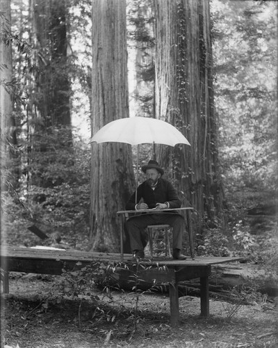 Man, Bruer, sitting under umbrella, Bohemian Grove. [negative]