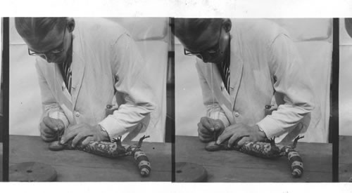 Extracting venom from a Gila Monster. H.K. Mulford Laboratories, Glenolden, Pa