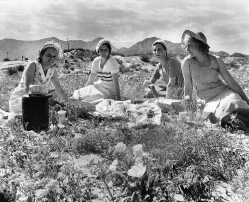 Women picnicking