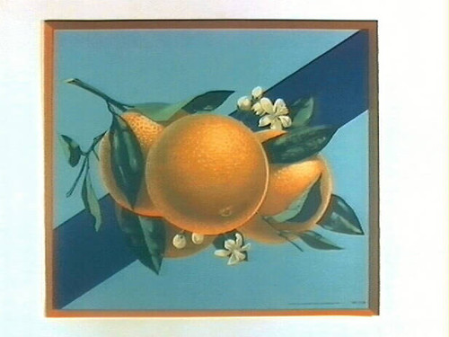 Stock label: oranges and blossoms on branch with purple sash