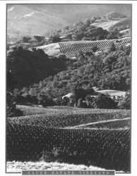 Gauer Estate Vineyard, Alexander Valley, Sonoma County, California