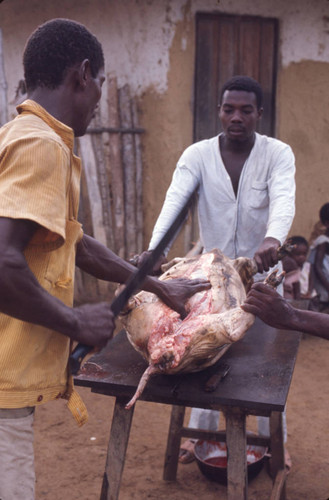Two men butchering a pig, San Basilio de Palenque, 1976