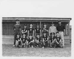 Yankees Sebastopol Pony League team at the Rincon Valley Little League Park, Santa Rosa, California, 1963