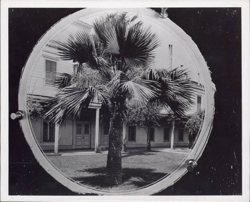 Palm Tree and Adobe Lodge