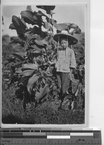 A boy next to a large plant at Meixien, China