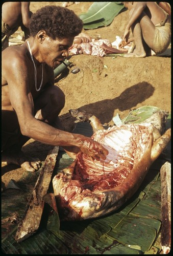 Saelasi, butchering a pig