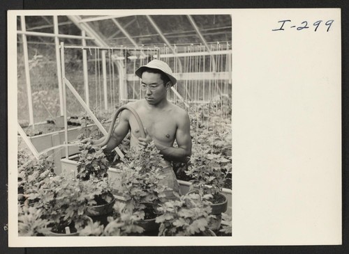 Yoshiro Befu (Granada) from Santa Maria, California, gains experience in eastern horticulture before continuing his college education, on the Greenough estate in Belmont, Massachusetts. Photographer: Iwasaki, Hikaru Belmont, Massachusetts