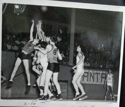 Analy High School Tigers basketball 1949--Analy vs Santa Rosa