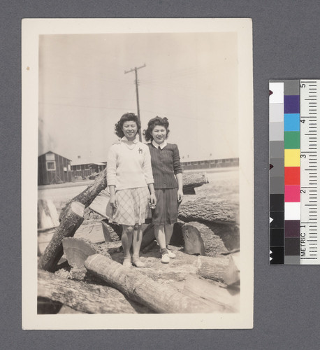 Two women #7 [standing & leaning on woodpile]