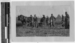 Japanese Trappists at work in a field, Japan, ca. 1900-1920