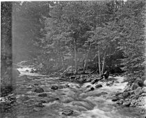 Whitewater rapids in a forest, c. 1912