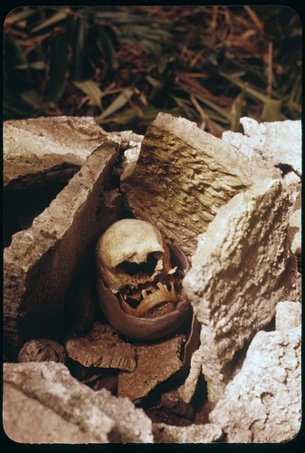 Shrine with skull