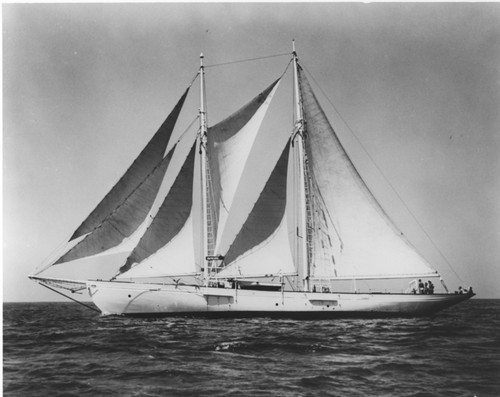 The Schooner DWYN WEN under full sail during it's South Pacific expedition to study the quivering sea floor. Circa 1963