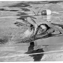 Buster Crabbe, Olympic Swimmer, Tarzan Star