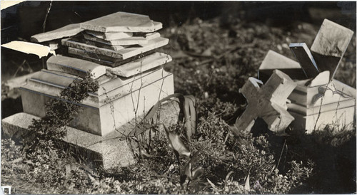 [Damaged gravestones at Masonic Cemetery]