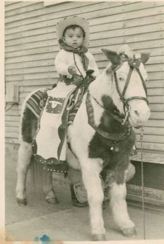 Child on travelling photographer's pony, East Los Angeles, California