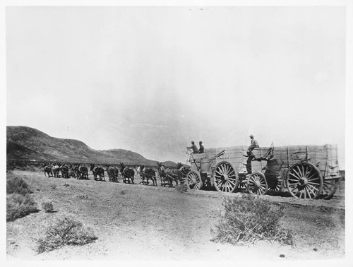 Borax Smiths teams crossing Death Valley