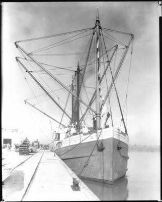 Freighters - Stockton: Daisy Gray, , port of Stockton, Public Wharf No. 3