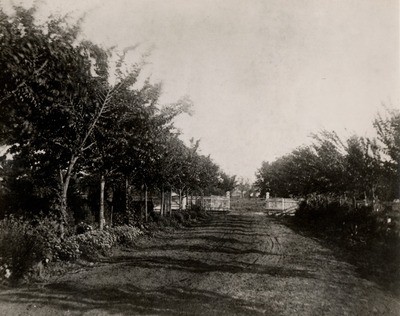 Stockton - Views - 1880 - 1900: Drive way to Bours residence