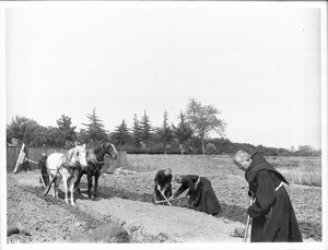 Monks farming stony ground at Mission Santa Barbara, ca.1901-1904