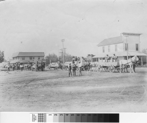 Men and horses wait to unload sweet potatoes in Turlock, California, circa 1905