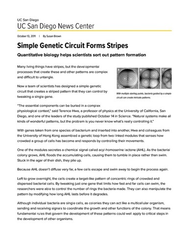 Simple Genetic Circuit Forms Stripes