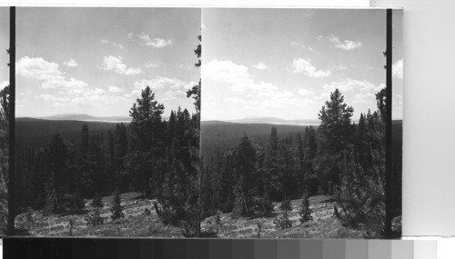 Yellowstone Lake From Sylvan Pass. Lowe, June 1948