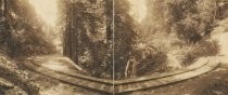 Mount Tamalpais & Muir Woods Railroad circular tracks, date unknown