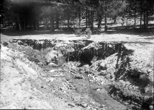 Meadow studies, streambank conditions about 1/3 way up meadow. Note brush dam has failed here. Remarks: Fig. 147 Armstrong Report