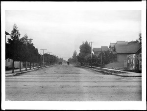 Towne Avenue looking south from Fifth Street, Los Angeles, ca.1891