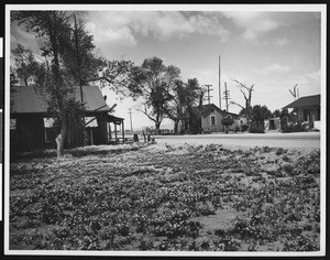 Buildings on an unidentified street in Yermo in the Mojave Desert, ca.1900