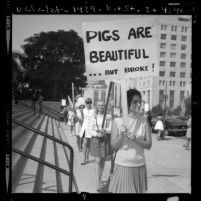 Wives of Los Angeles policemen picketing for police pay raise with "pigs are beautiful" placards, 1970