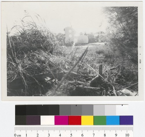 Photograph (House of the Century scrapbook)