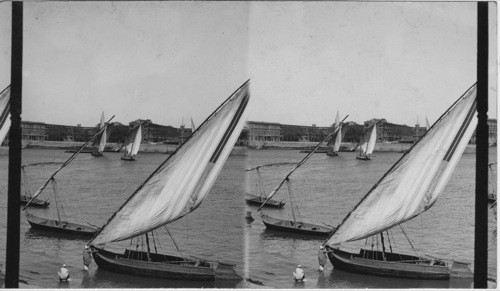 Sailboats on the Nile. Egypt