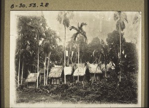 Begräbnisplatz der Dusun (Phot. v. Dr. W. Bernoulli)