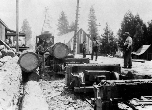 Sierra Lumber Company Lyonsville