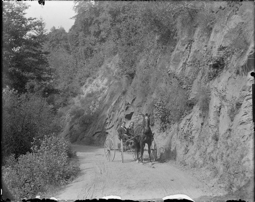 [Two men on horse-drawn carriage in countryside. Johan Hagemeyer, left?] [negative]