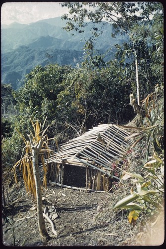 House-building: Kwiop, house construction