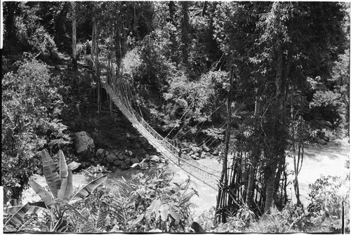 Jimi River: bridge between Kwiop and Tabibuga