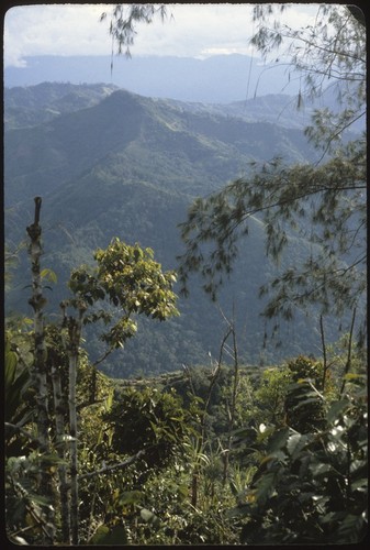 Kwiop ridge, distant view